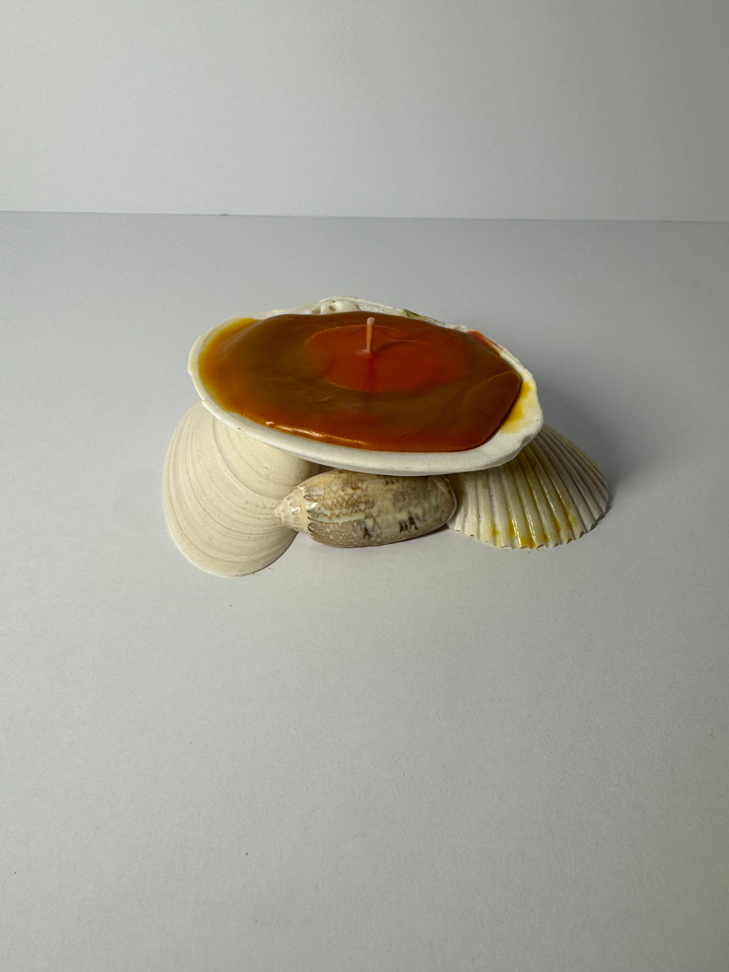 Shell Candle