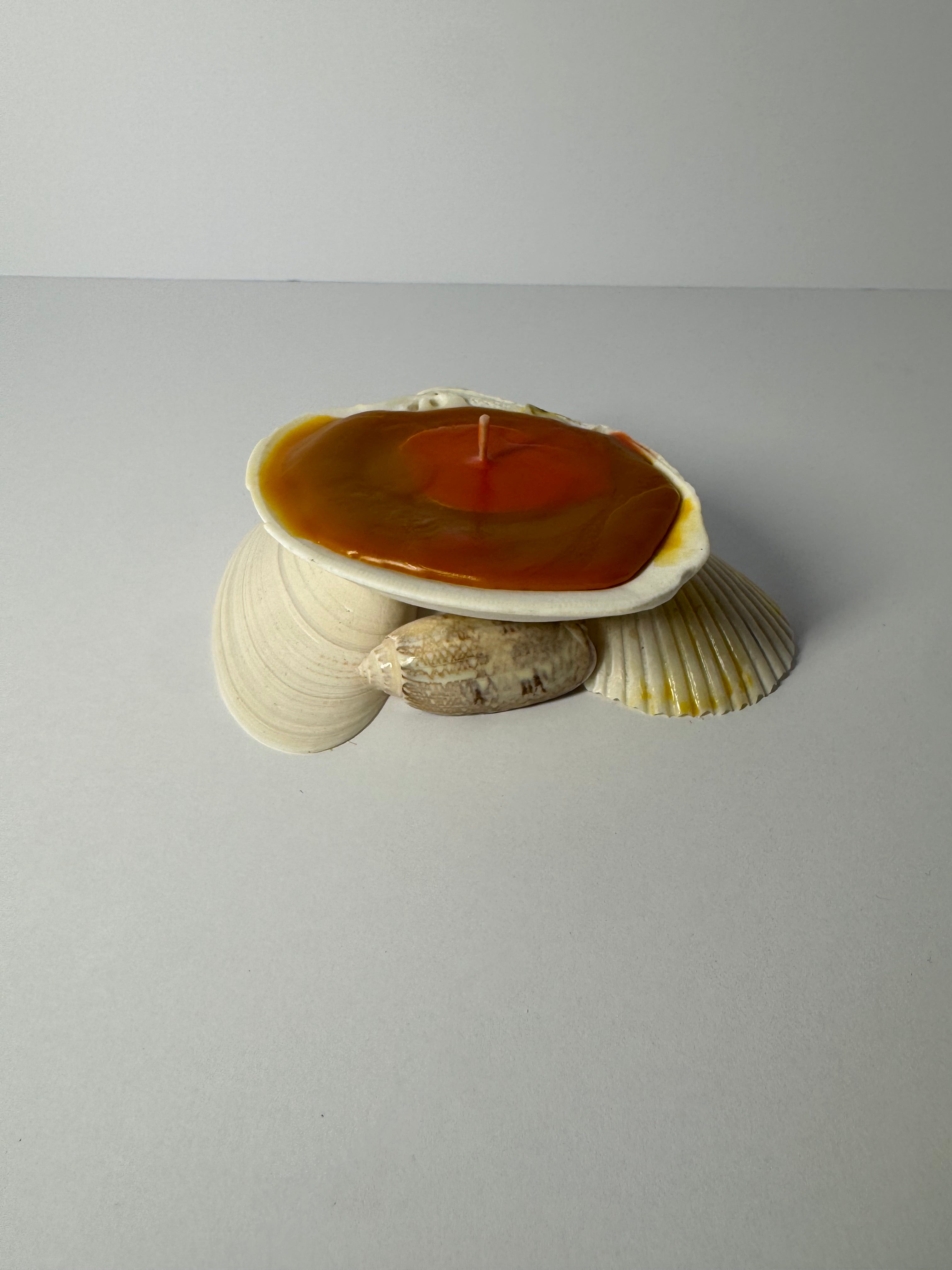 Shell Candle