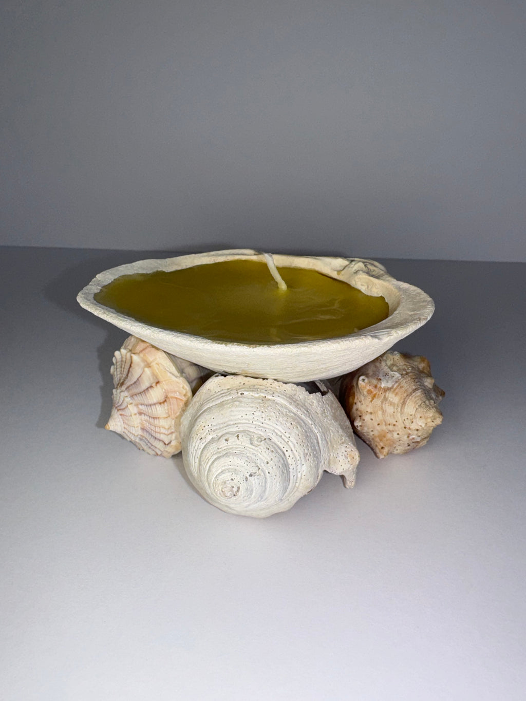 Shell Candle