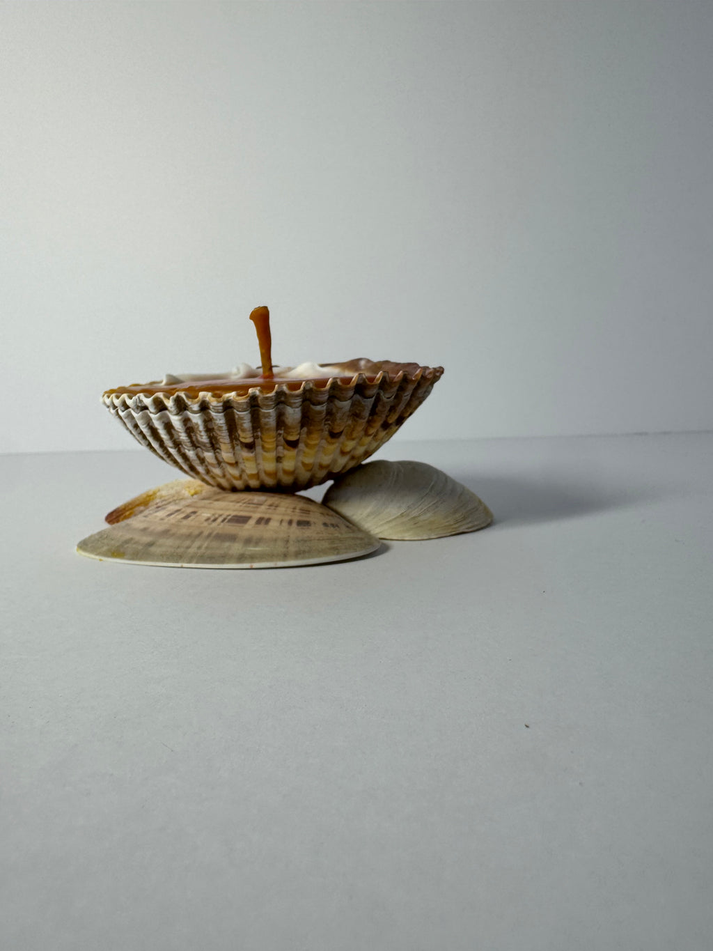 Shell Candle