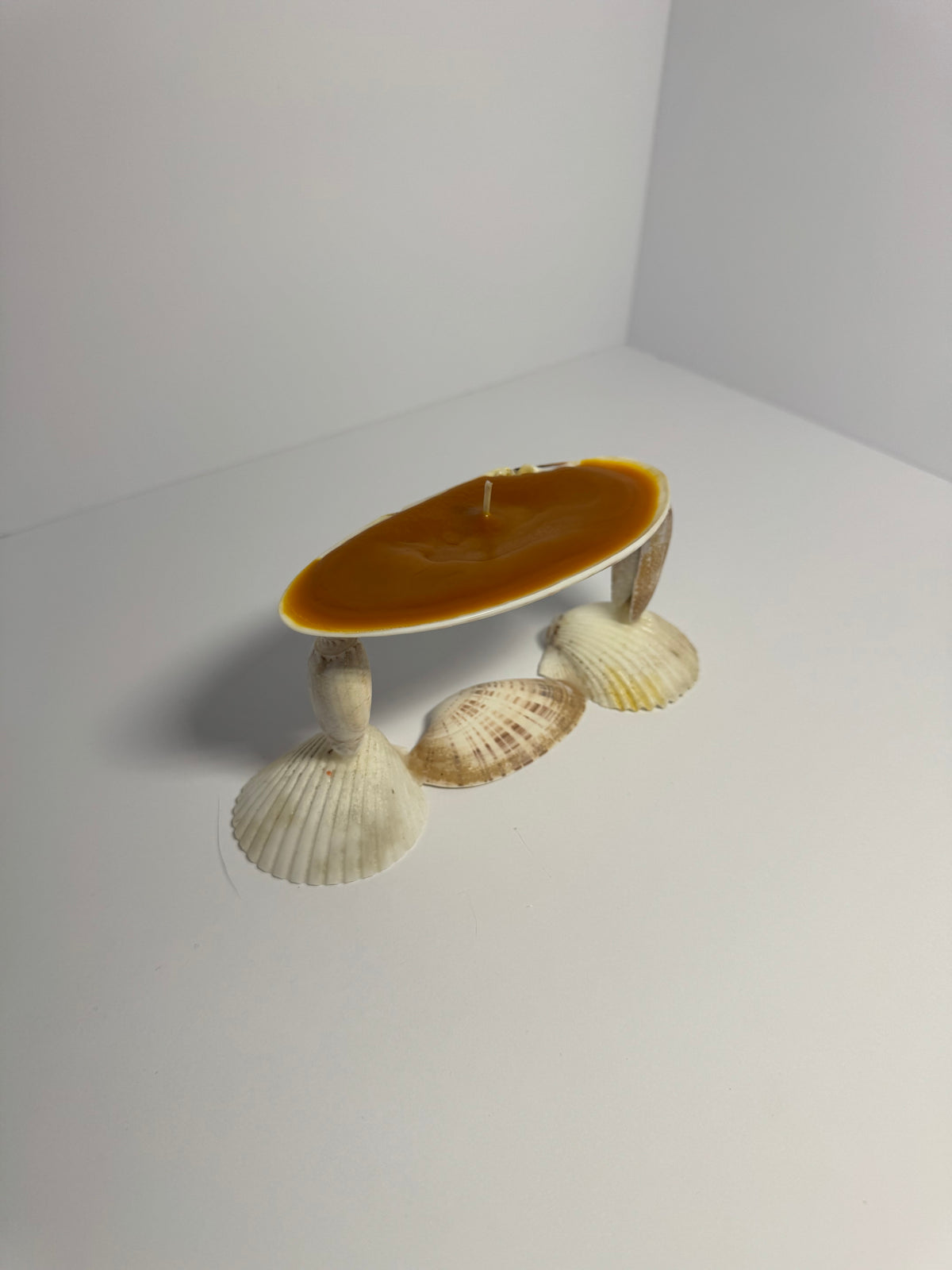Shell Candle