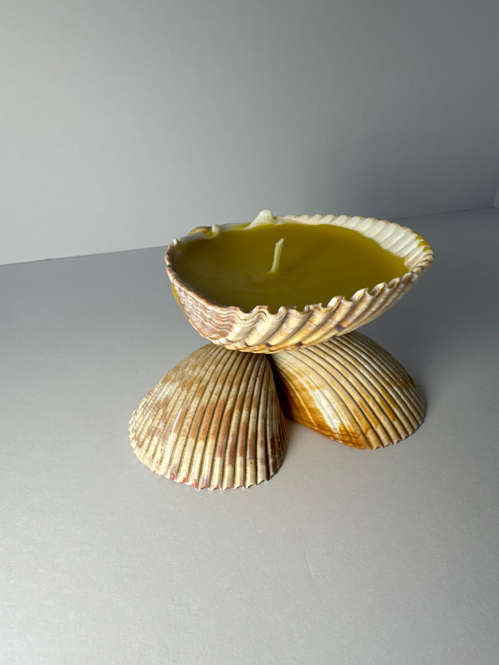 Shell Candle