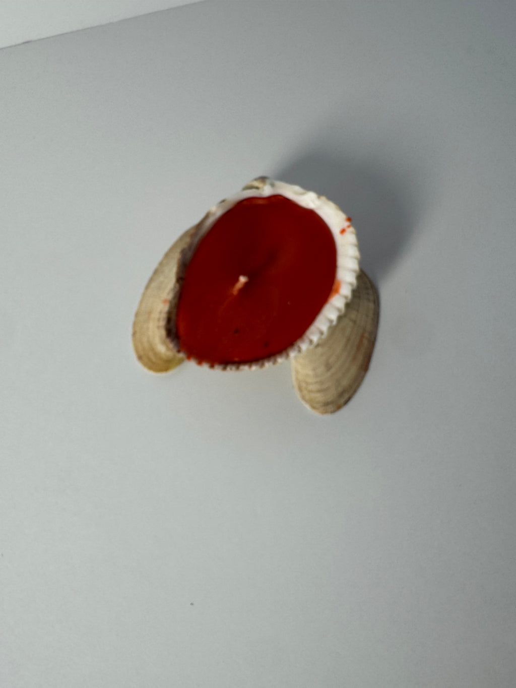 Shell Candle
