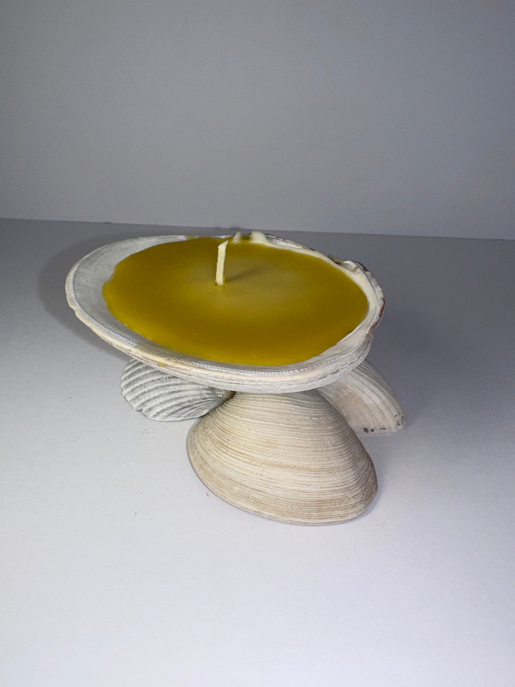 Shell Candle