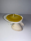 Shell Candle