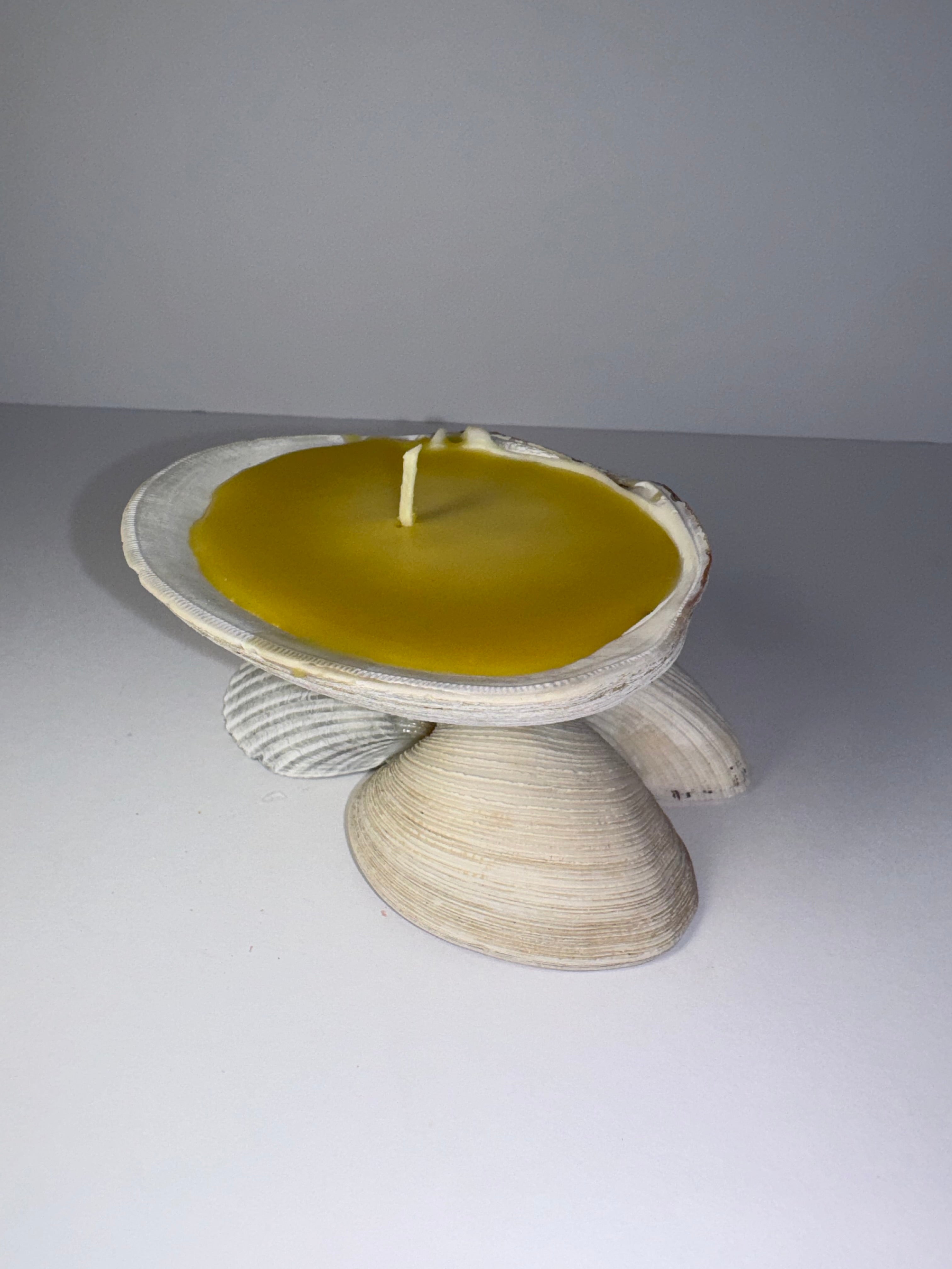 Shell Candle