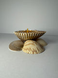 Shell Candle