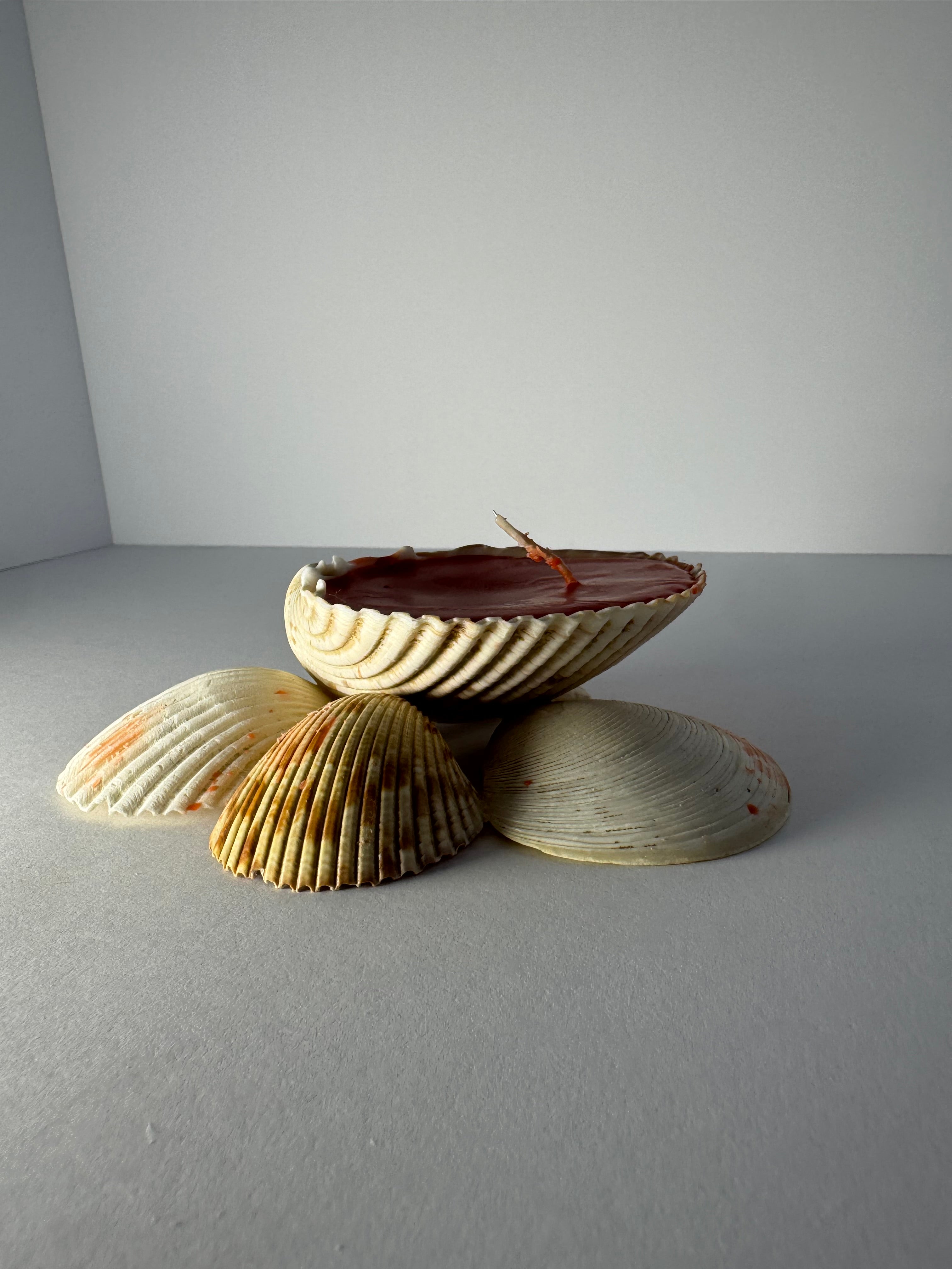 Shell Candle