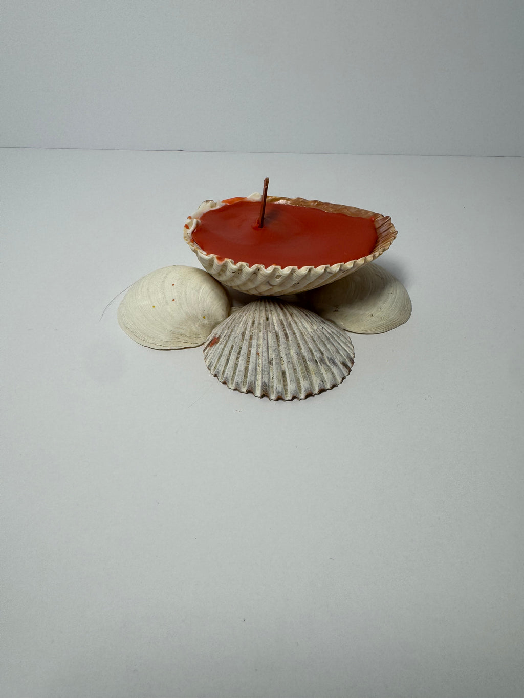 Shell Candle