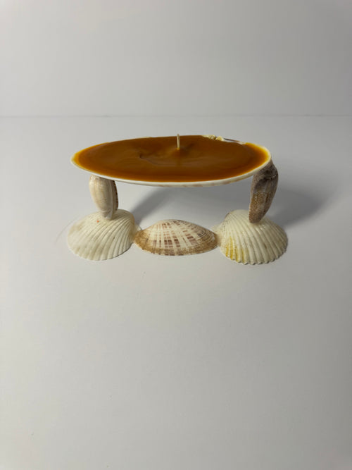 Shell Candle