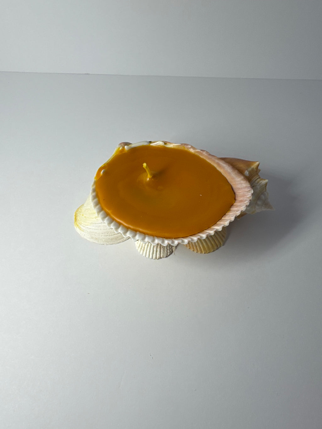 Shell Candle