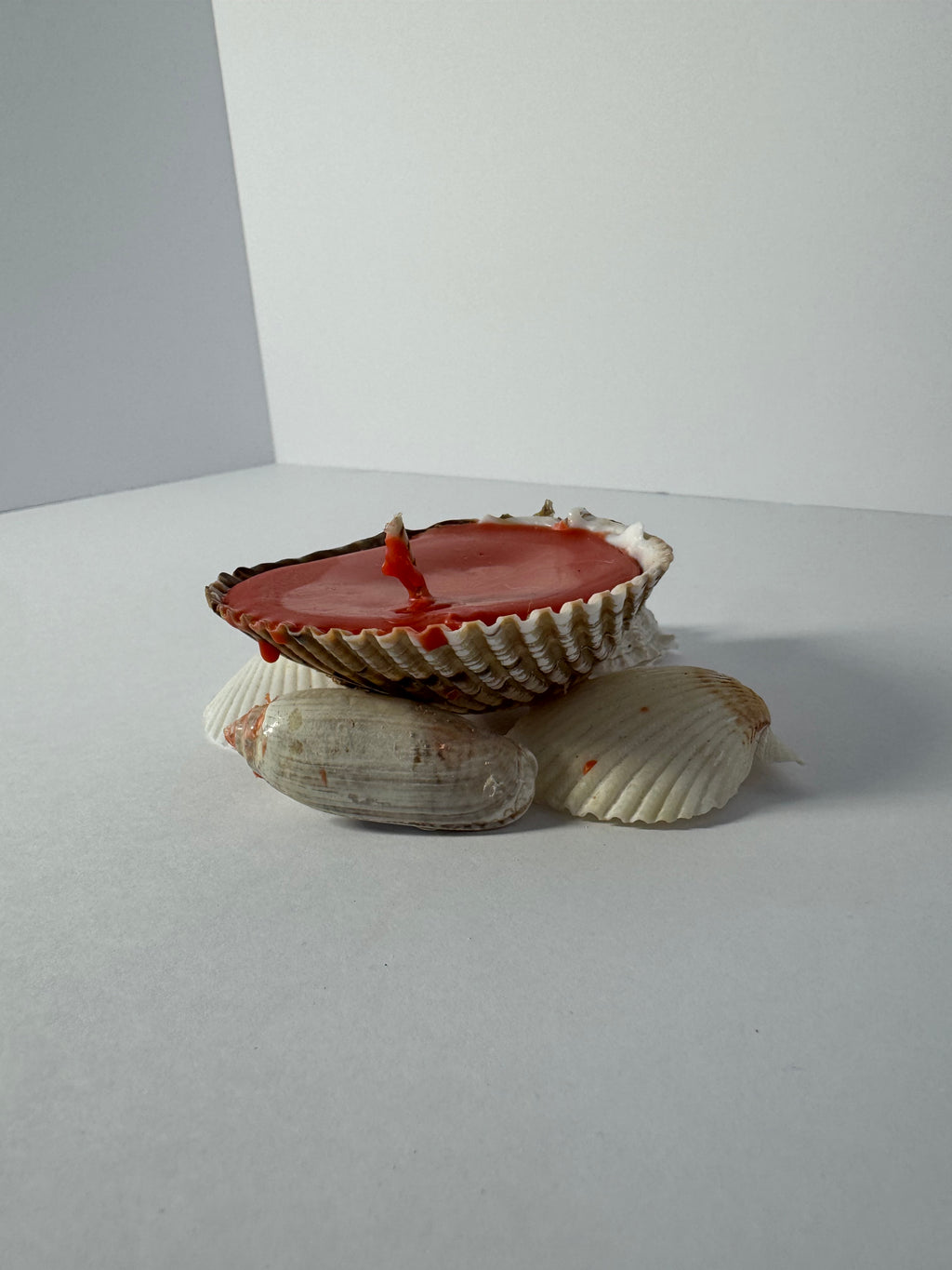 Shell Candle
