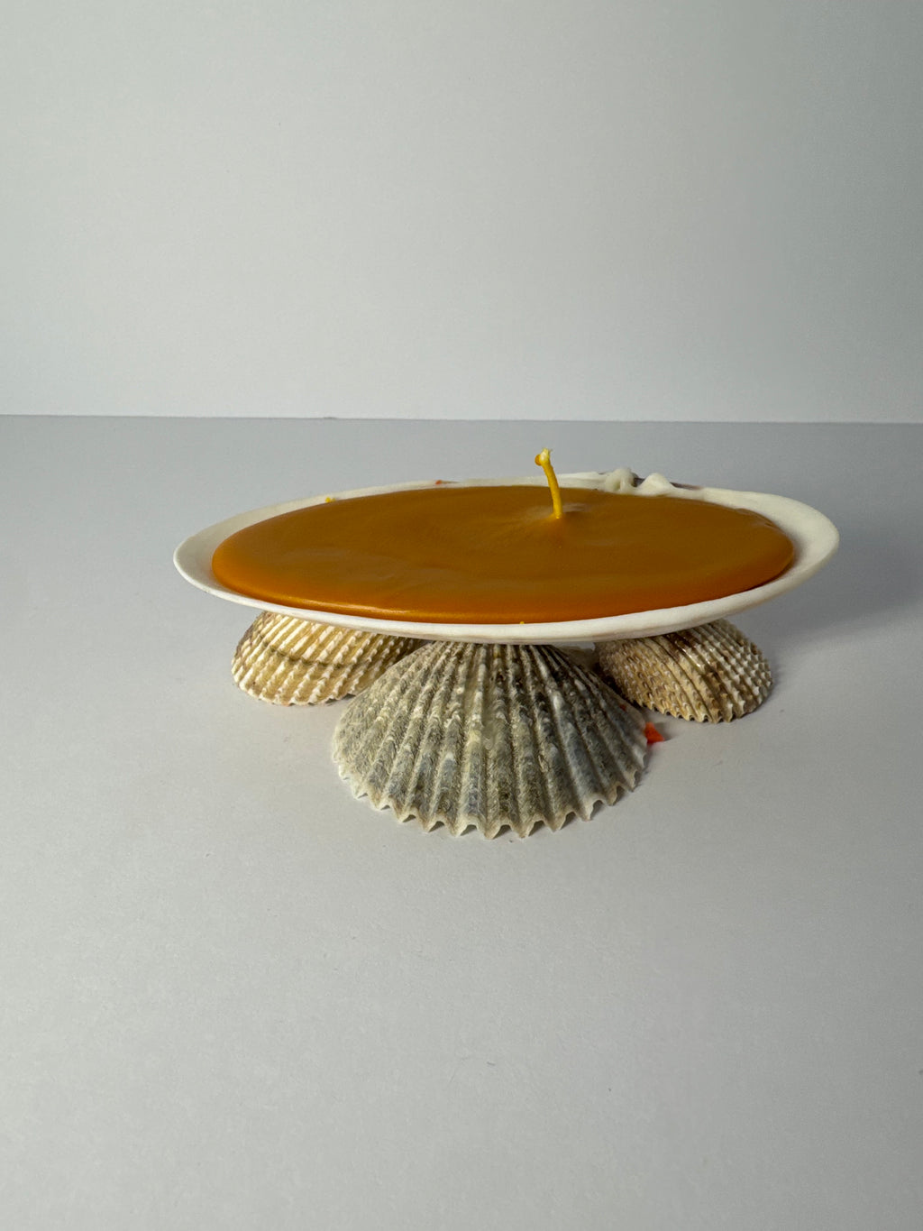 Shell Candle