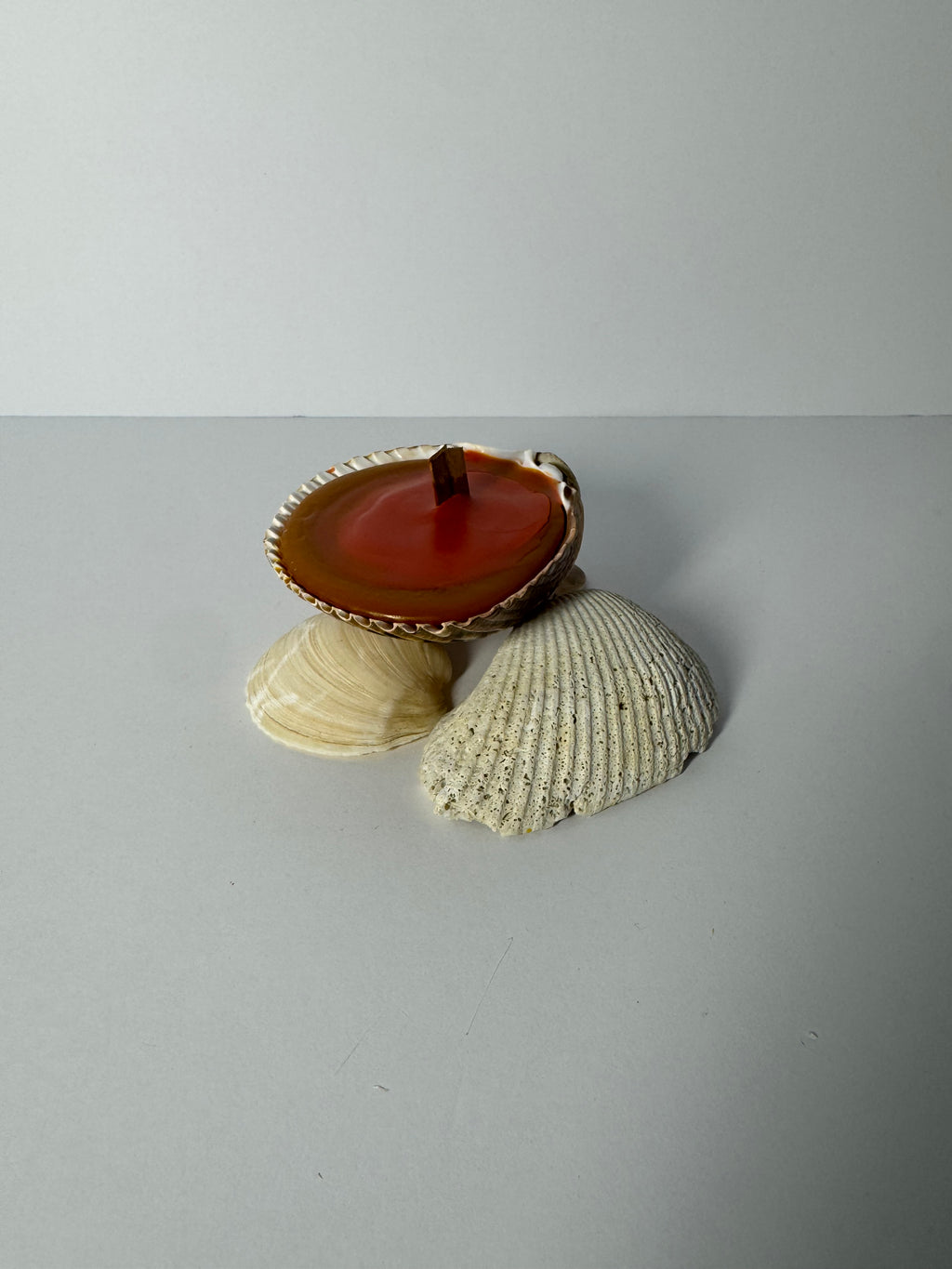 Shell Candle