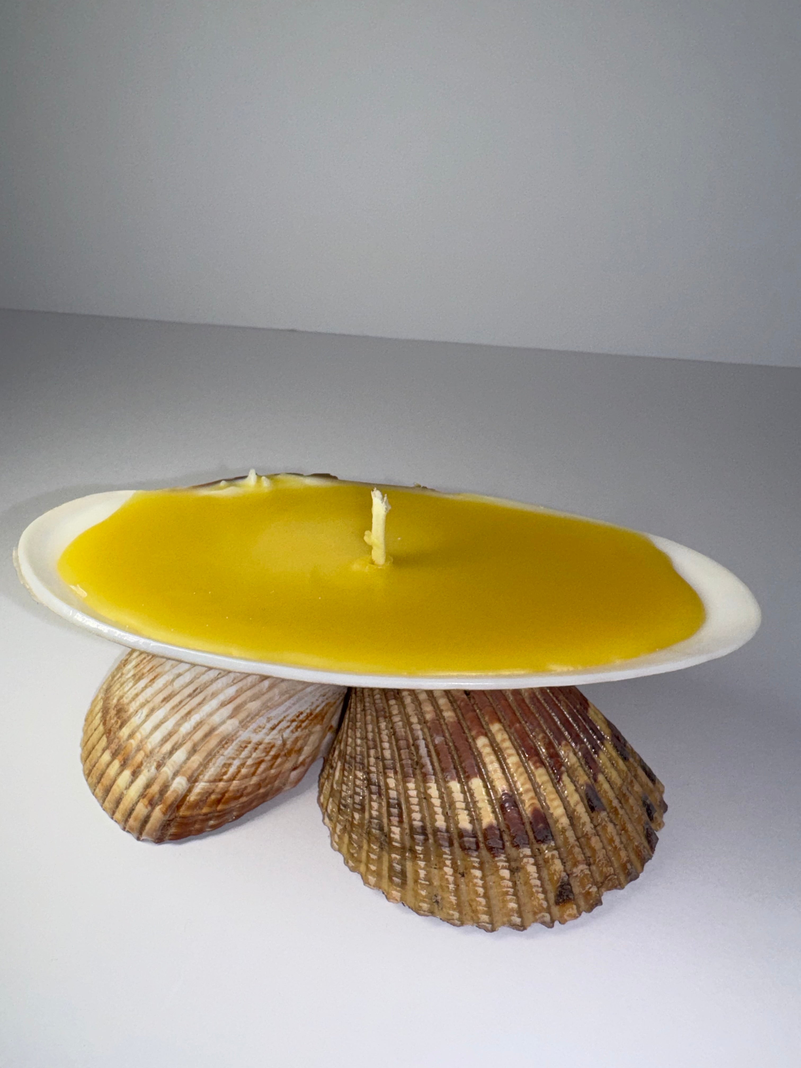 Shell Candle