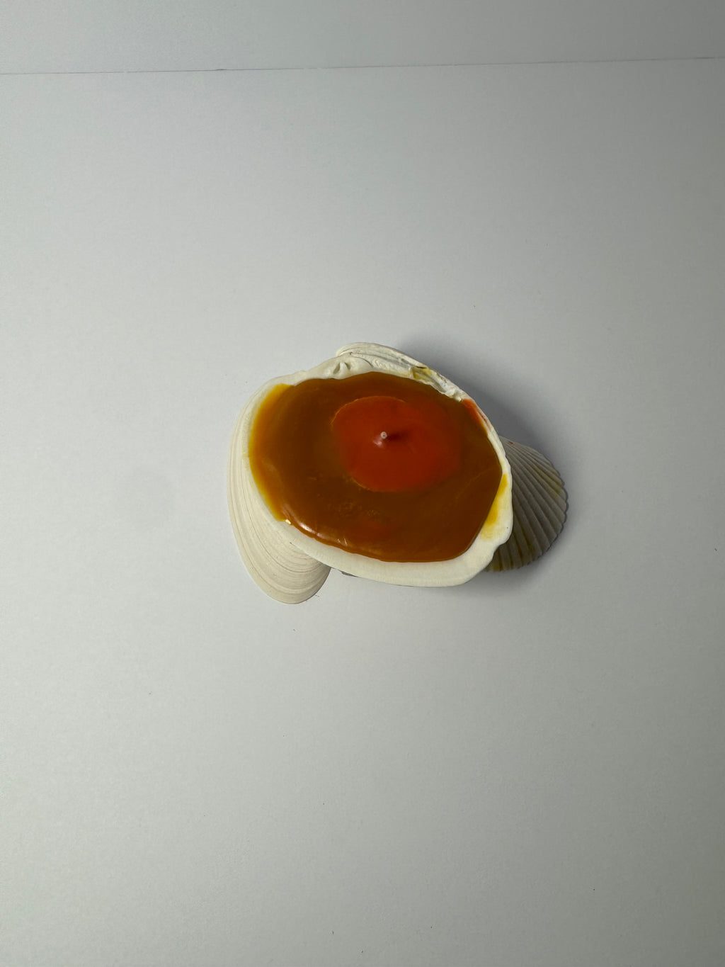 Shell Candle