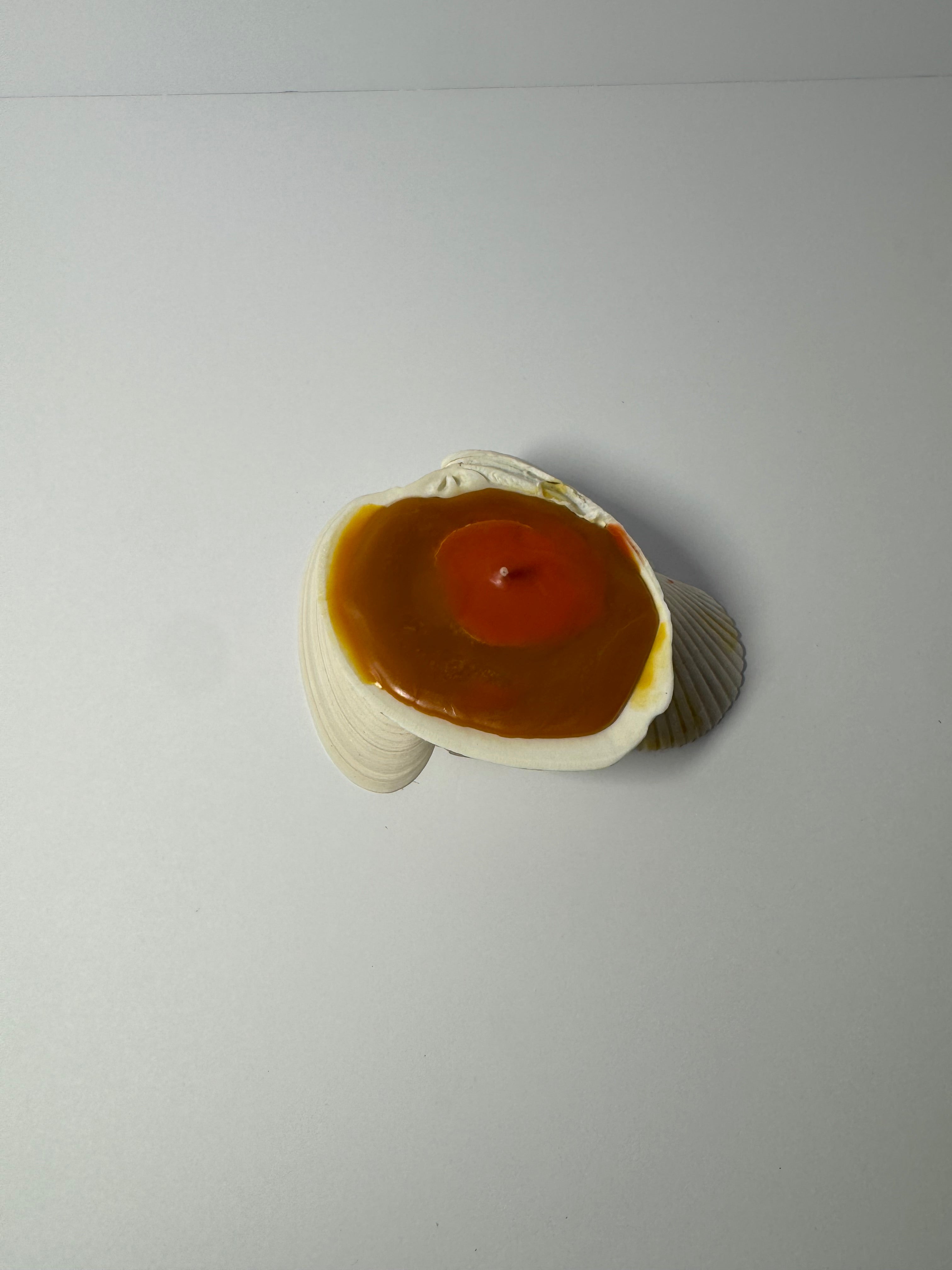 Shell Candle