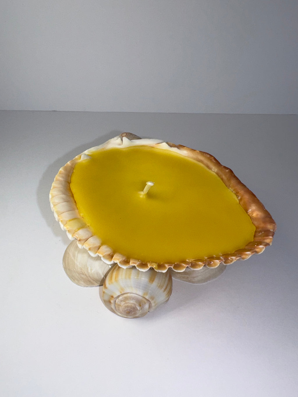 Shell Candle