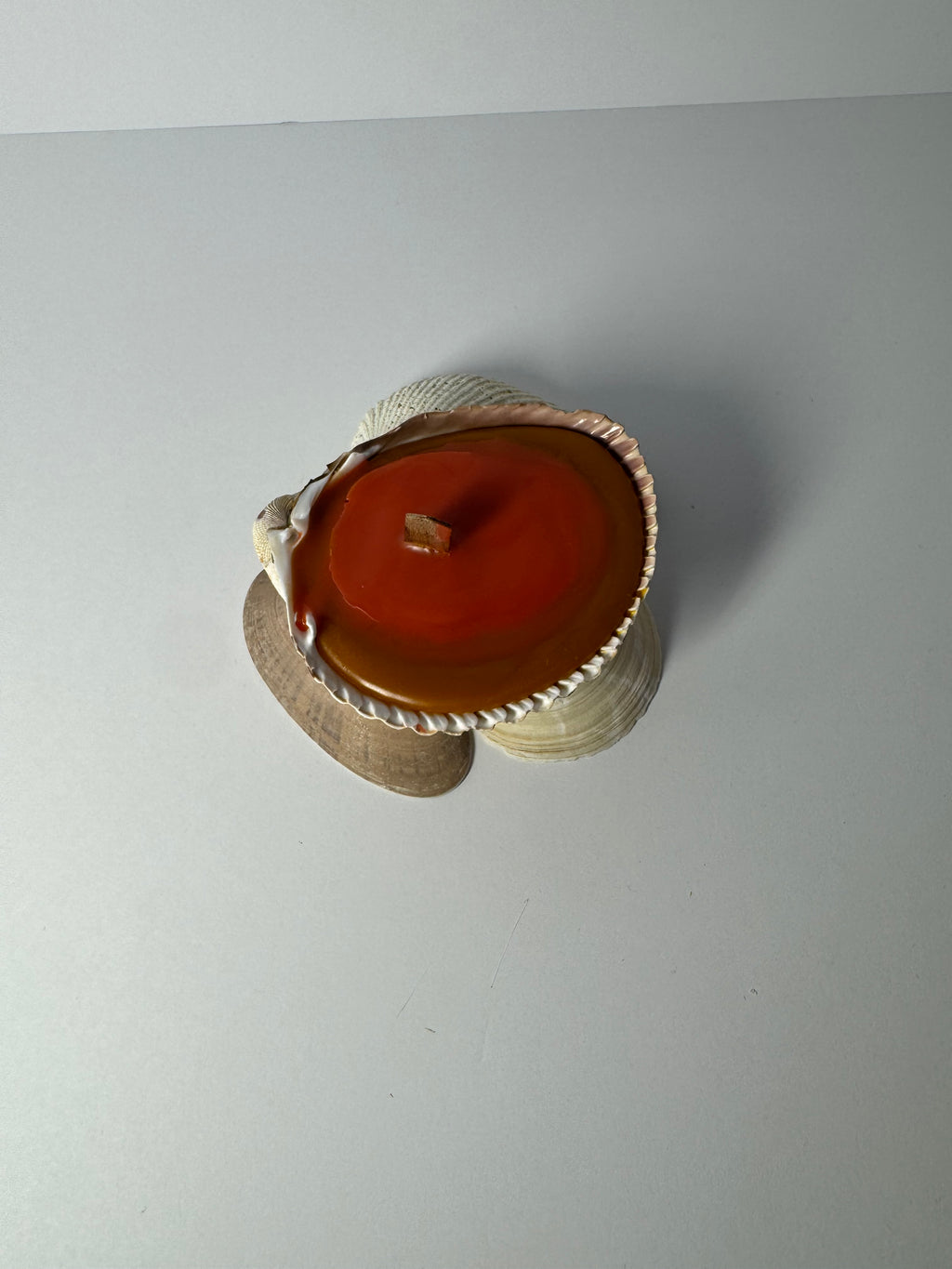 Shell Candle