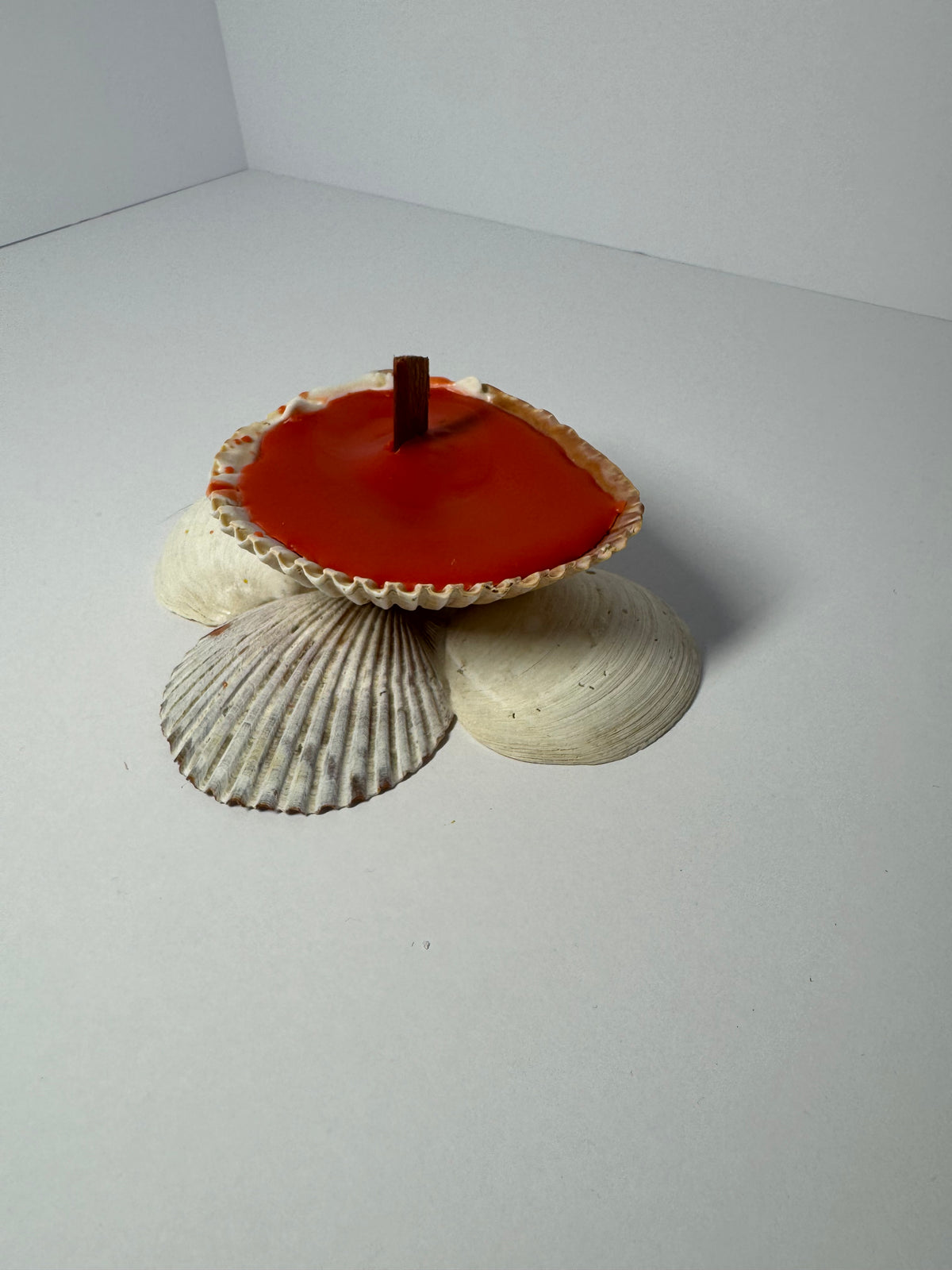 Shell Candle