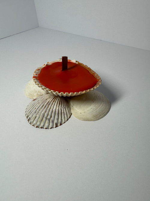Shell Candle