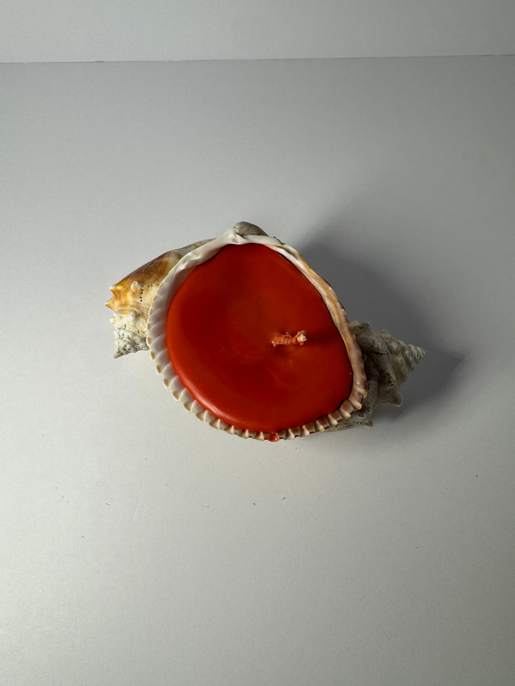 Shell Candle