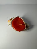 Shell Candle