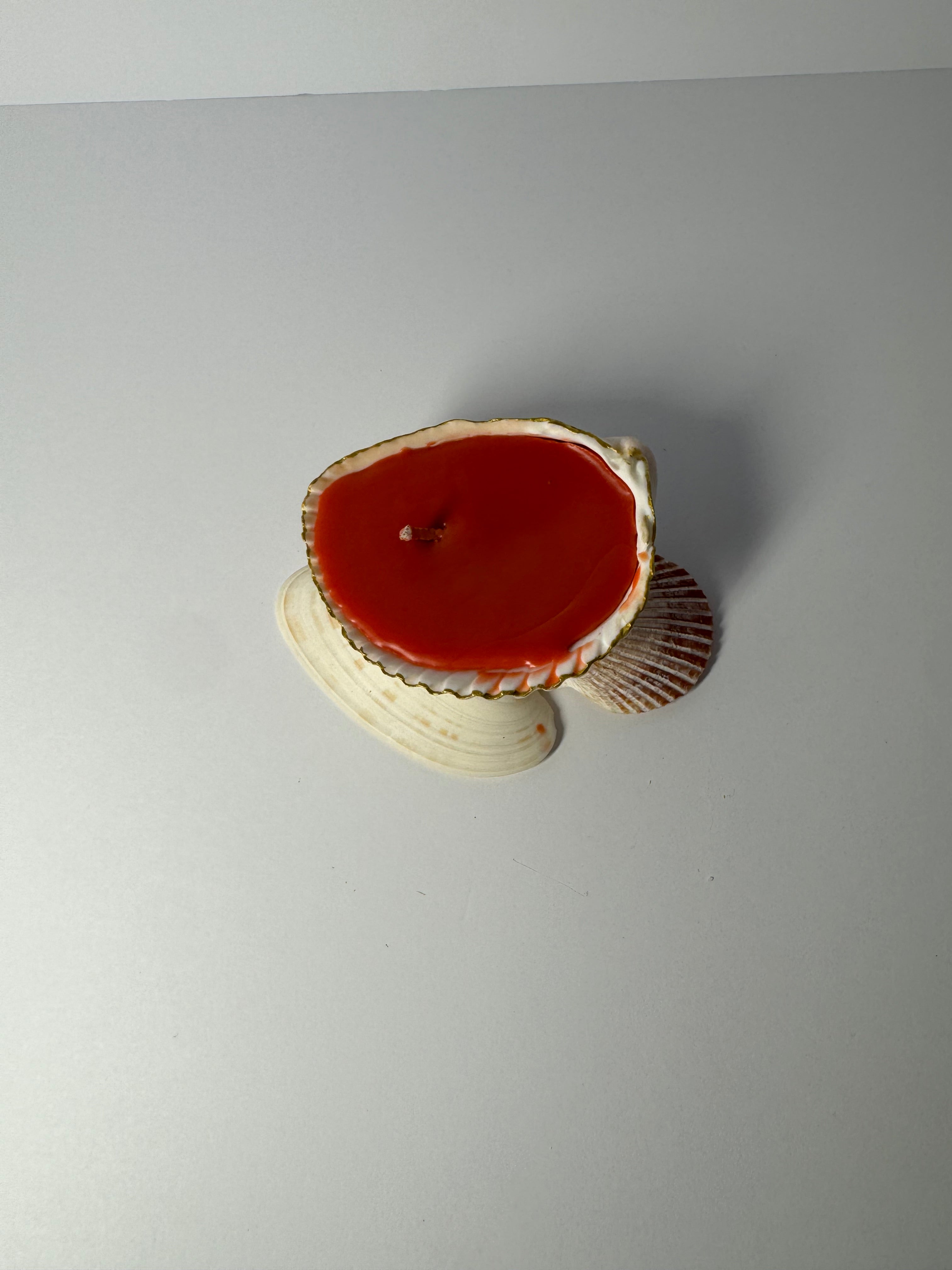 Shell Candle