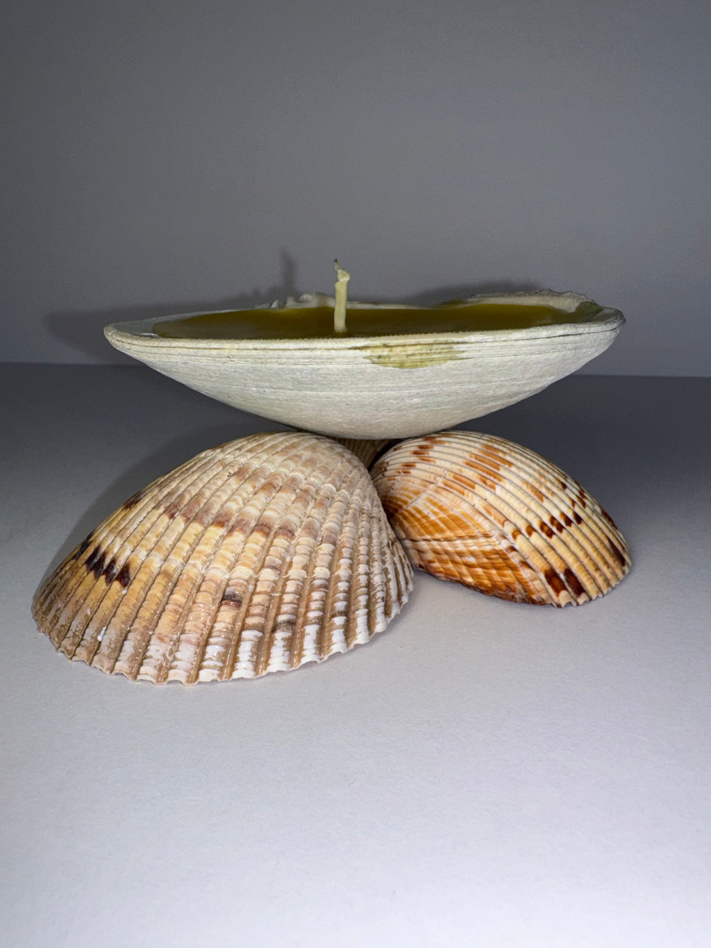 Shell Candle