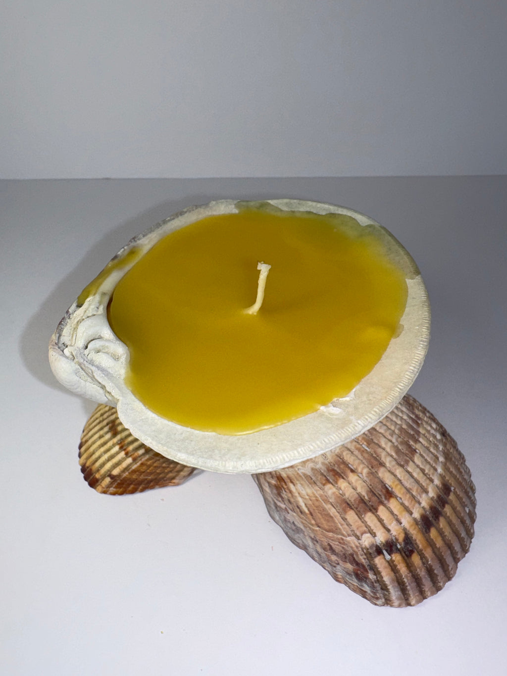 Shell Candle