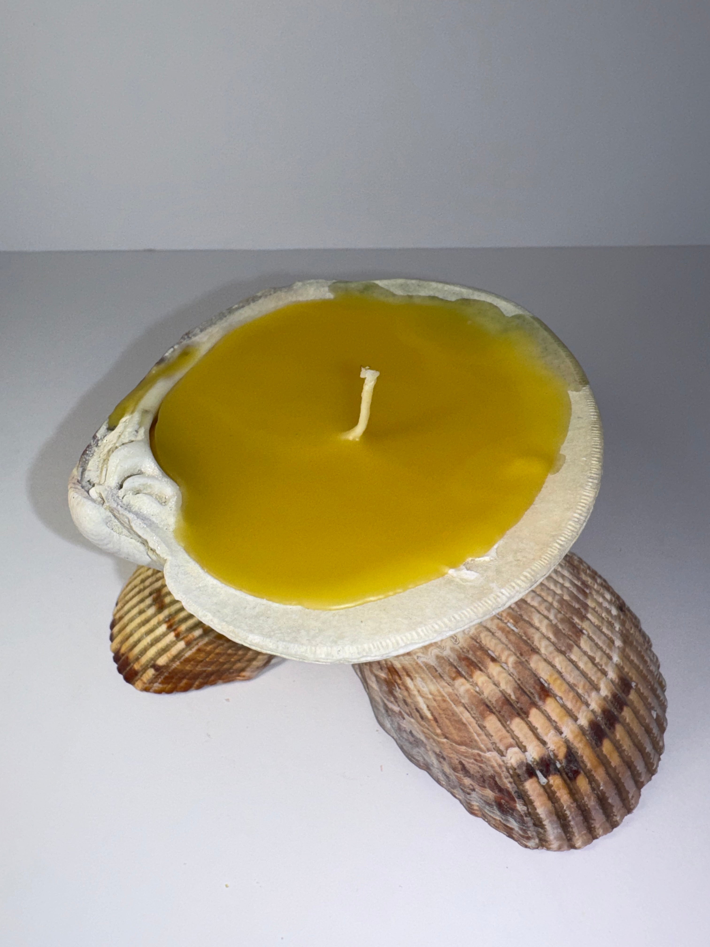 Shell Candle