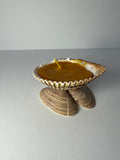 Shell Candle