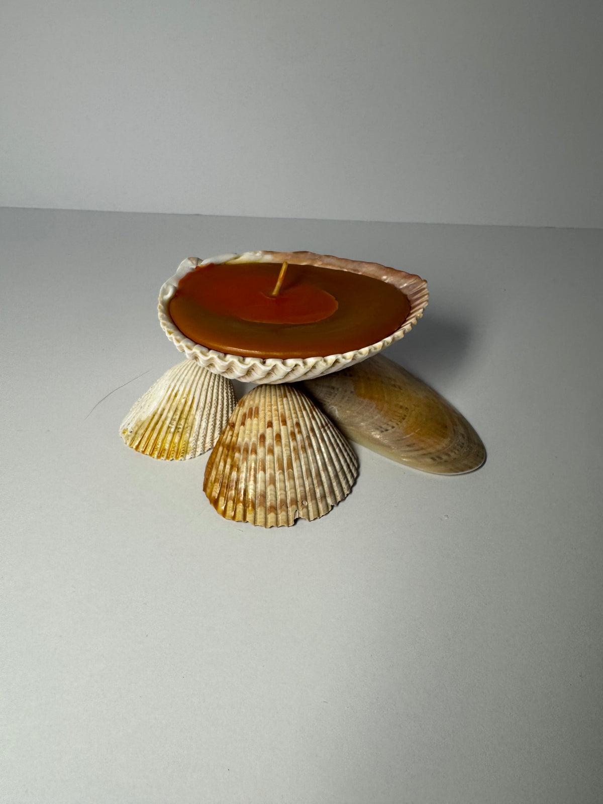 Shell Candle