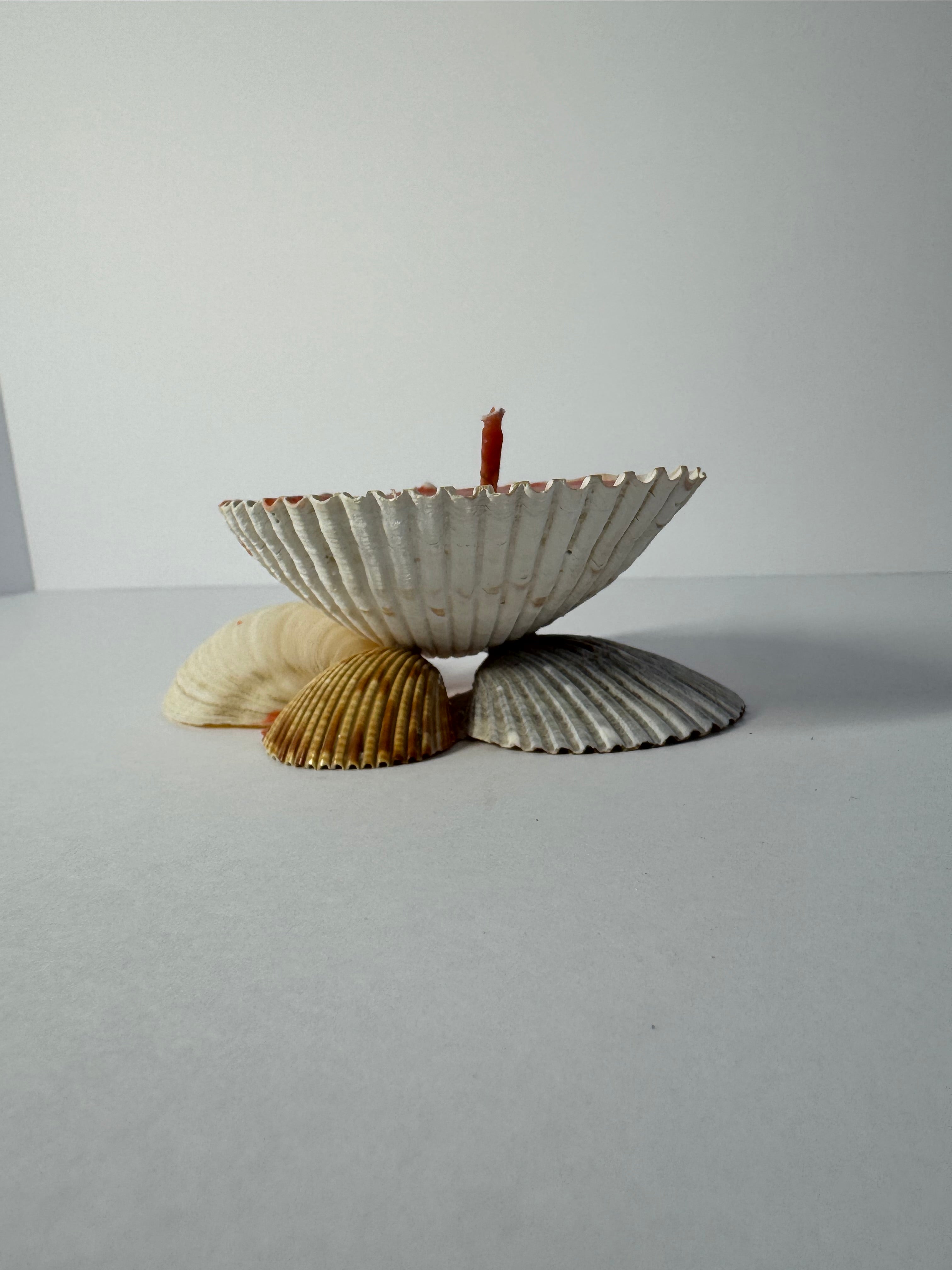 Shell Candle