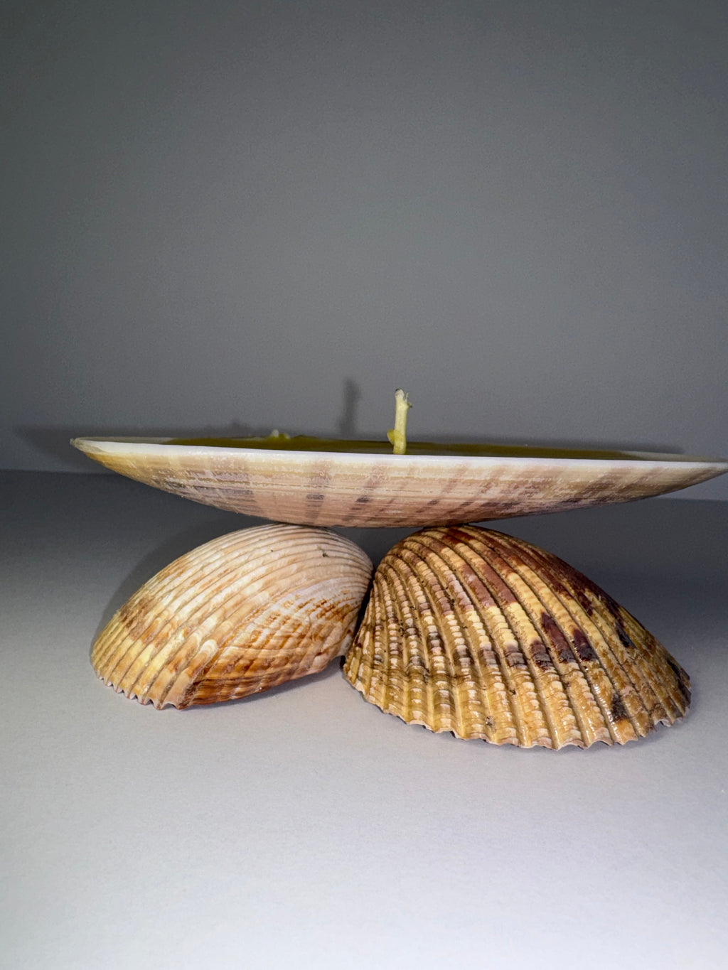 Shell Candle