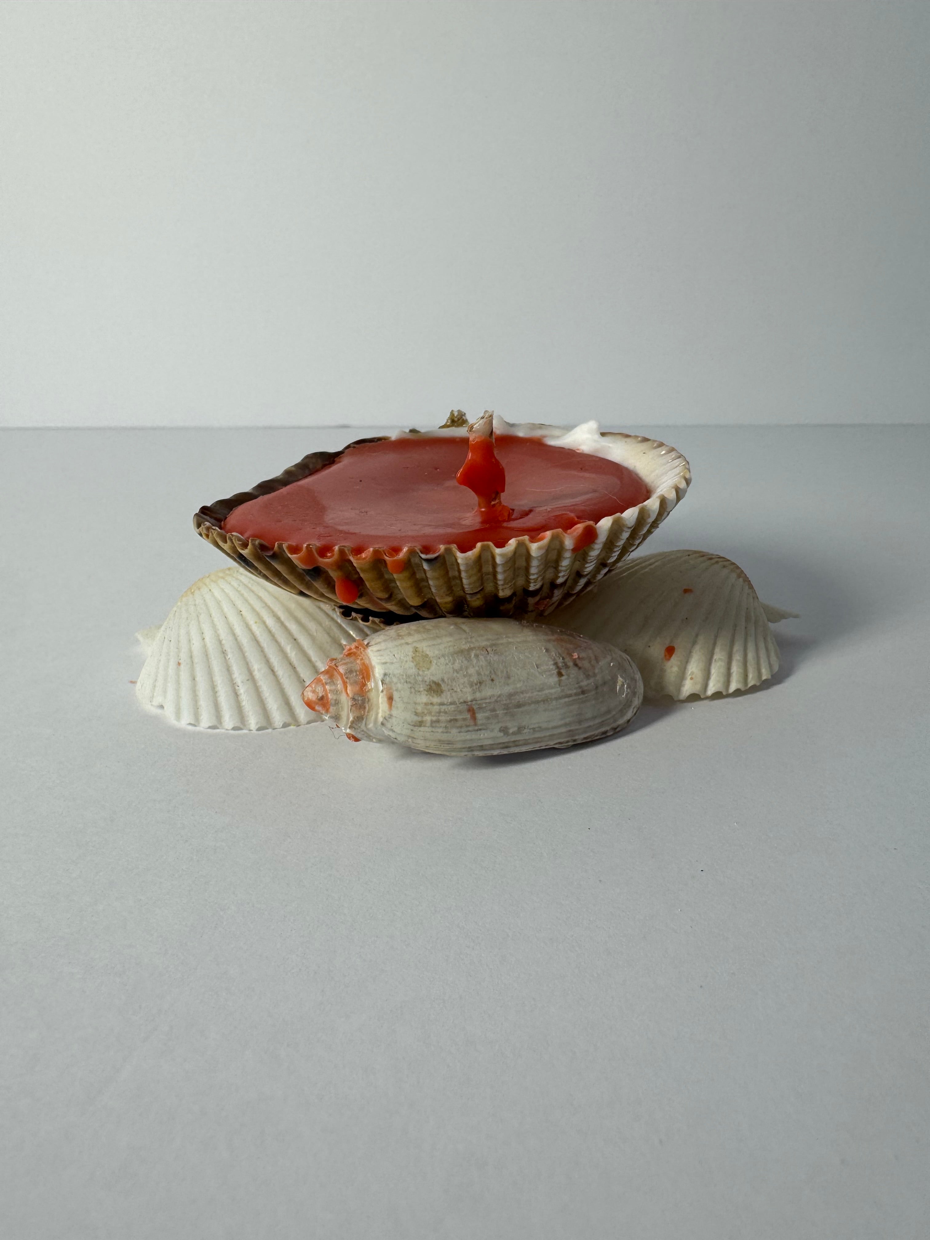 Shell Candle