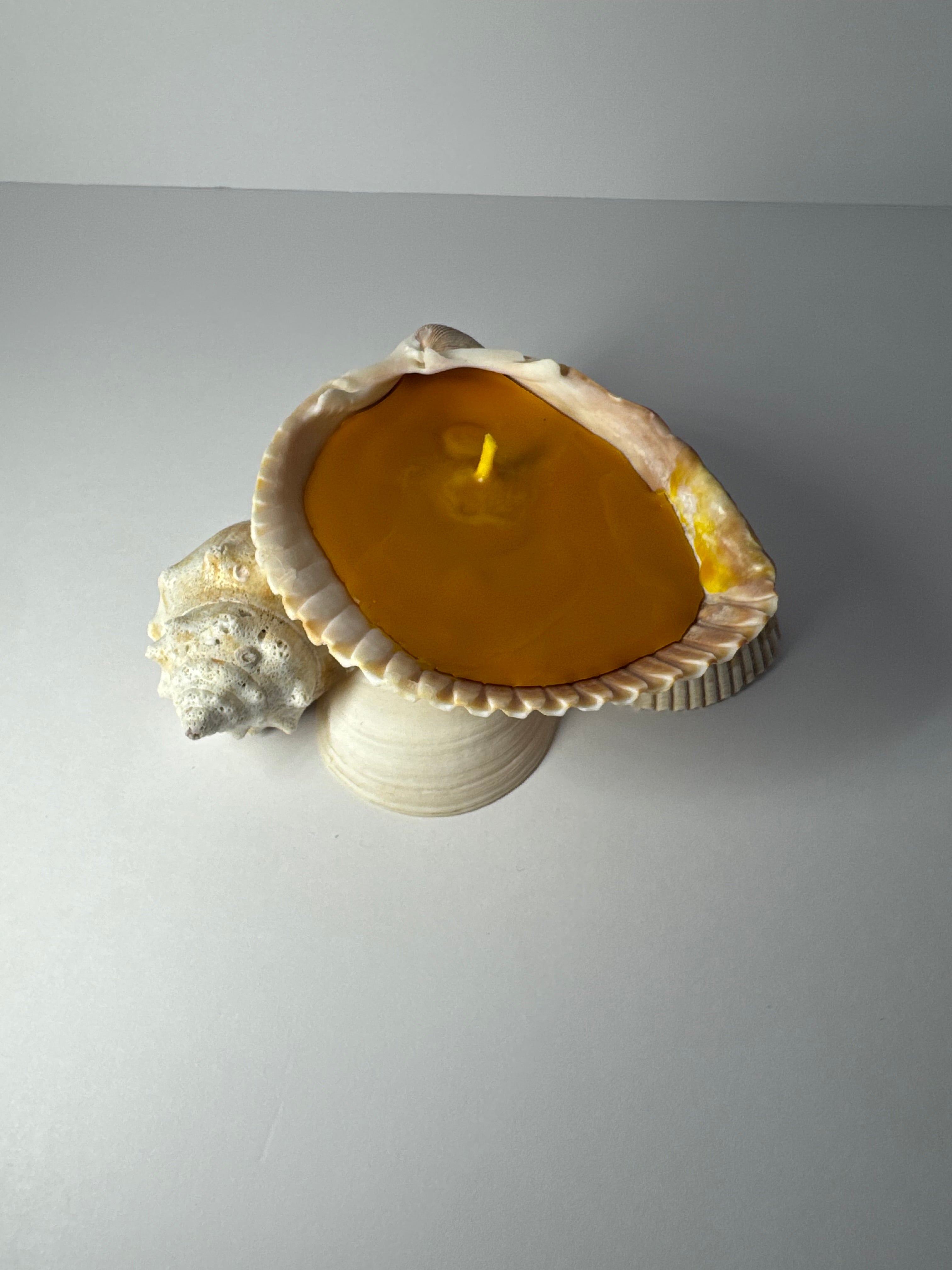 Shell Candle