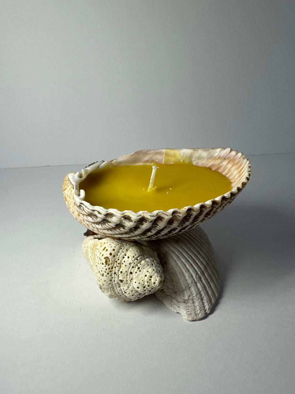 Shell Candle