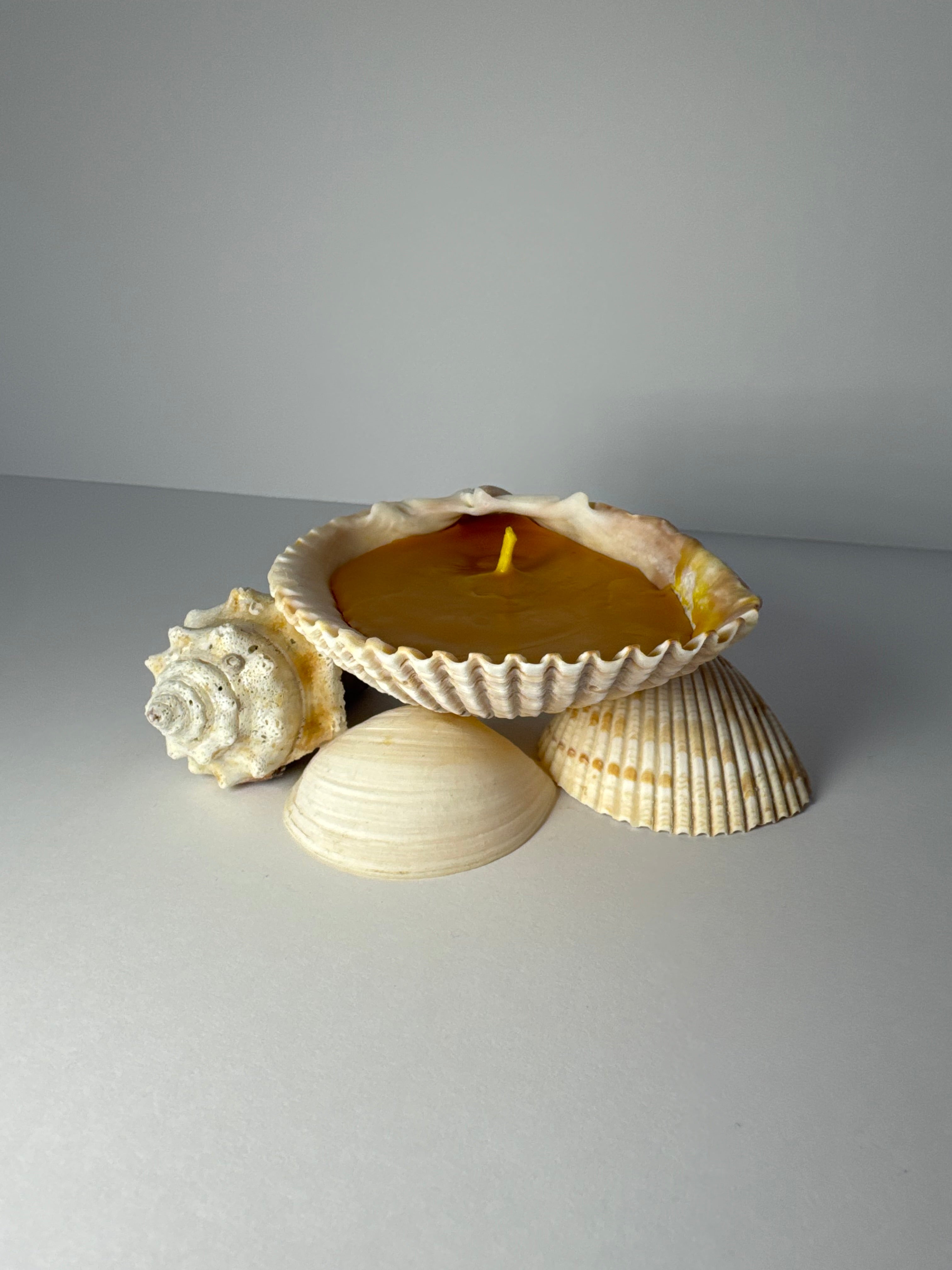 Shell Candle