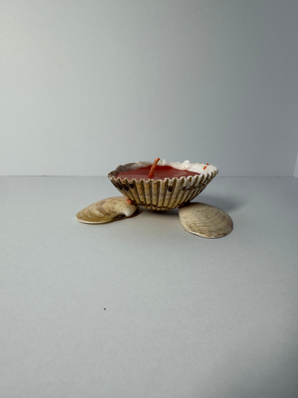 Shell Candle