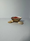 Shell Candle