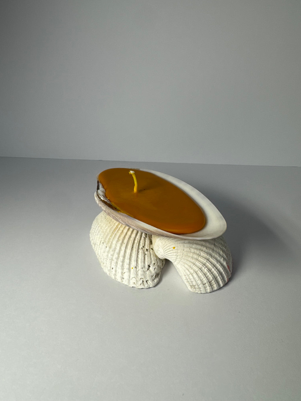 Shell Candle