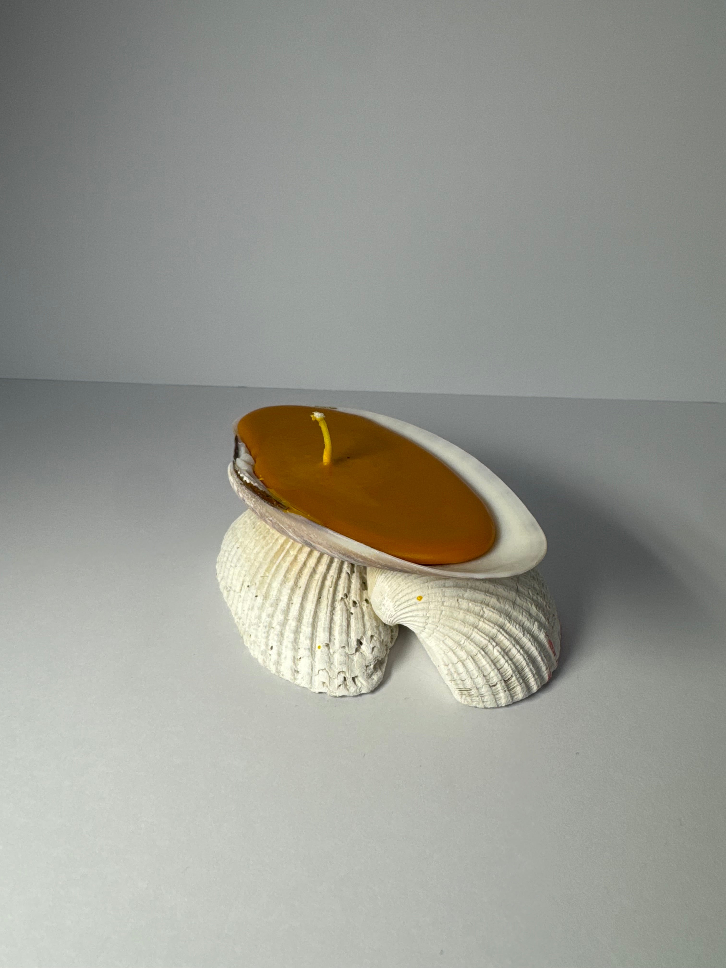 Shell Candle