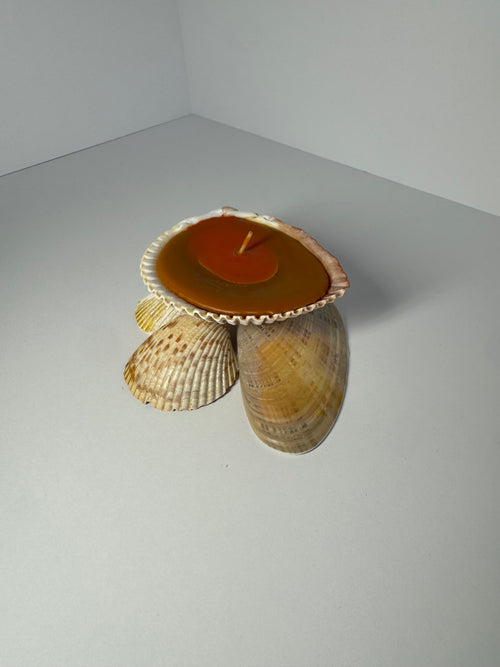 Shell Candle