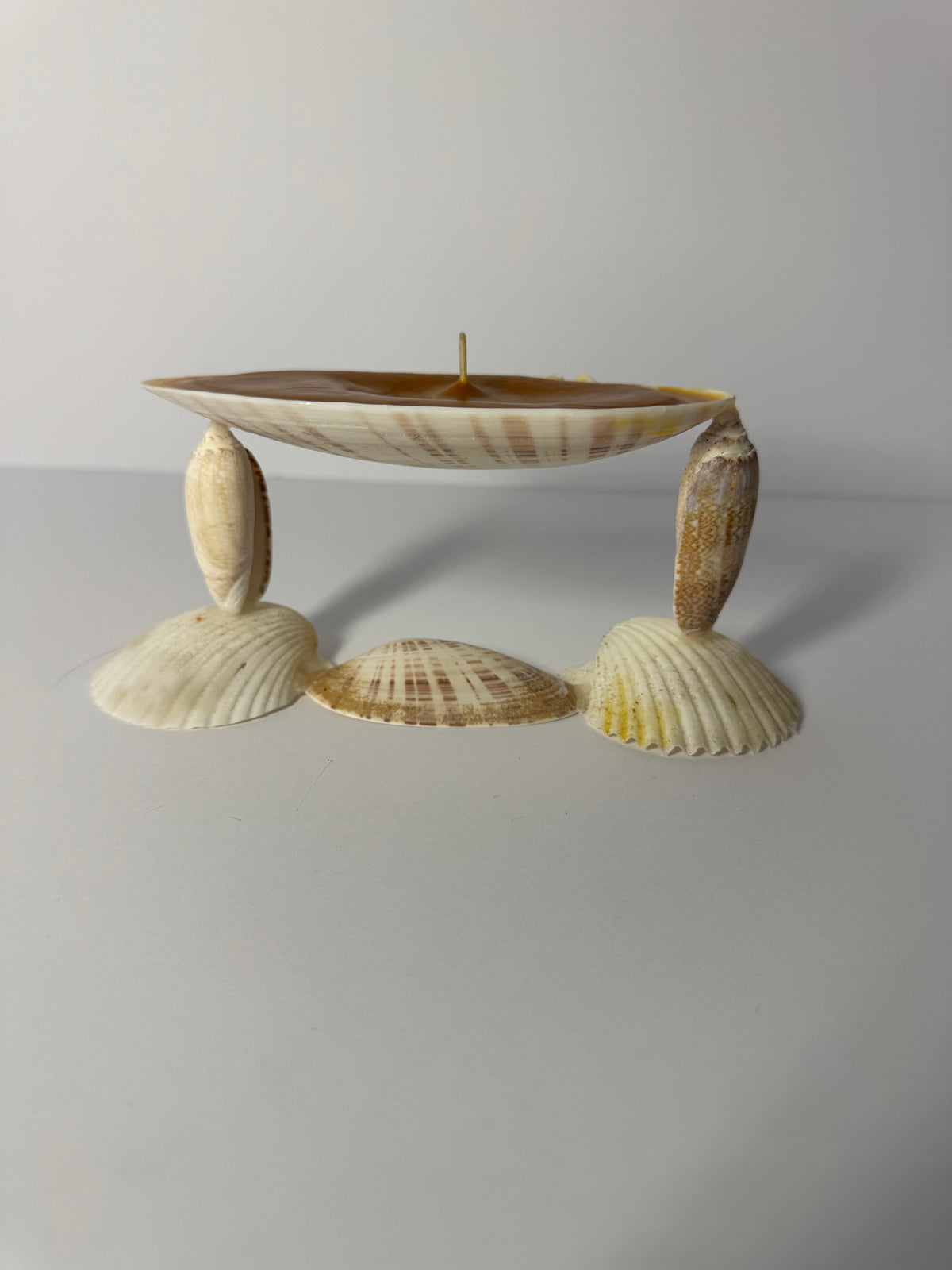 Shell Candle