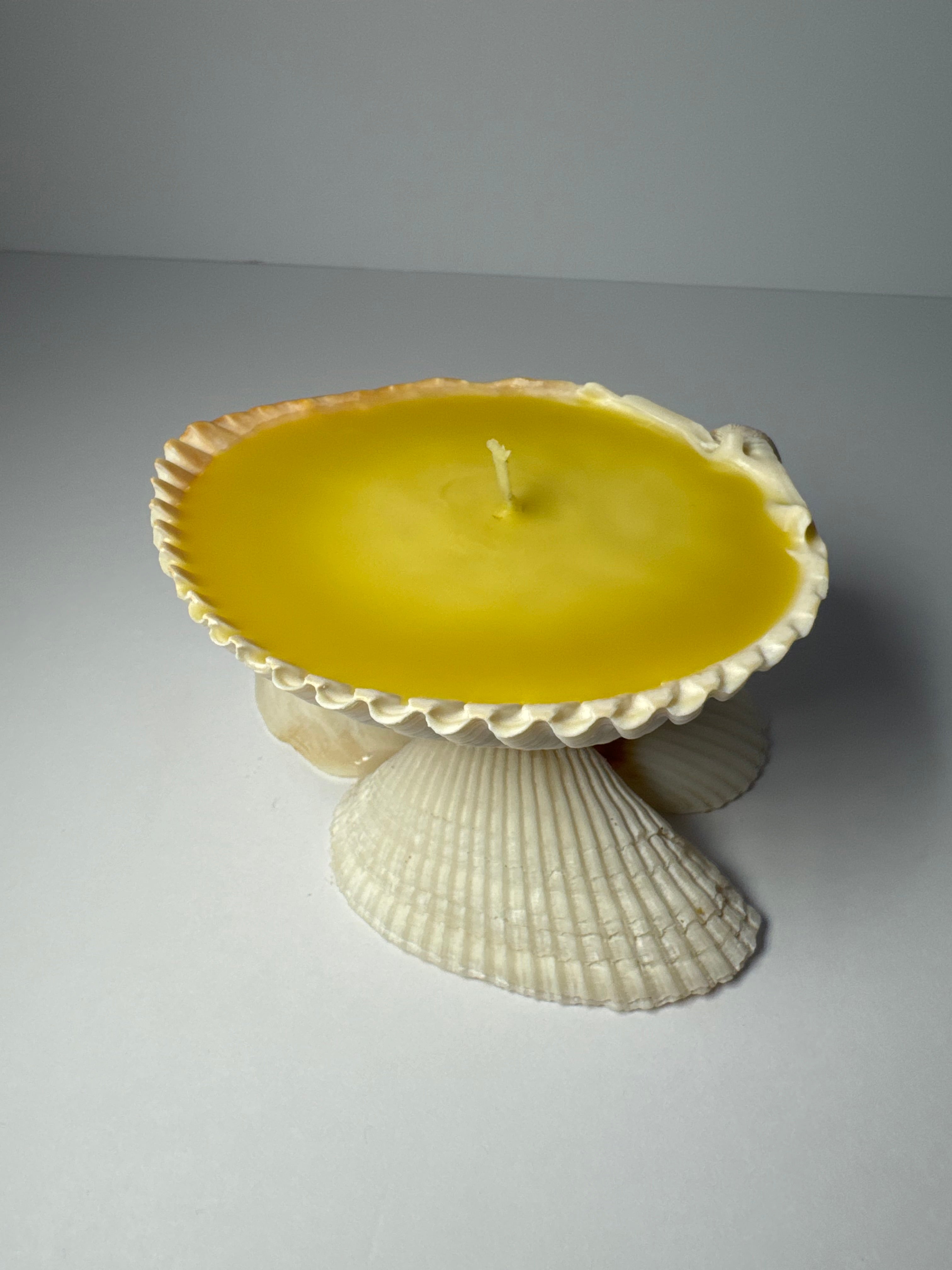 Shell Candle