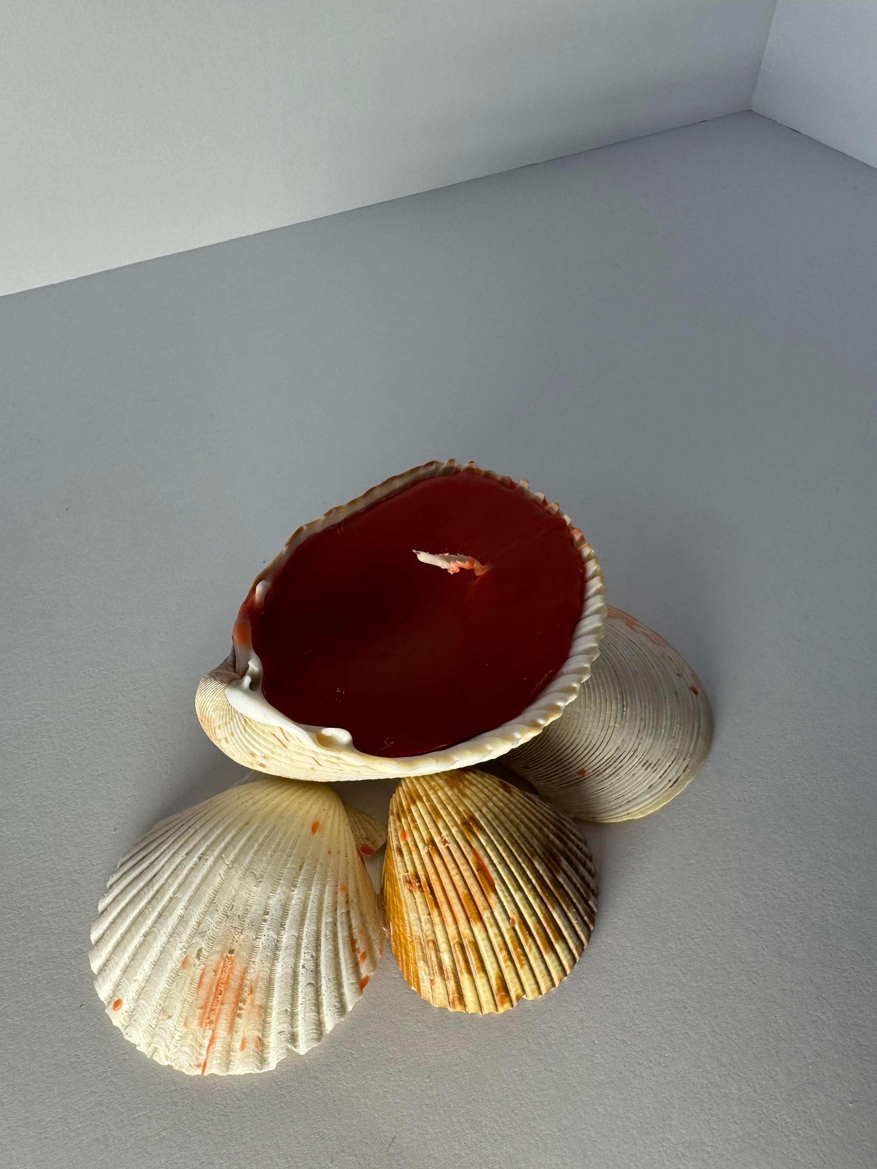 Shell Candle