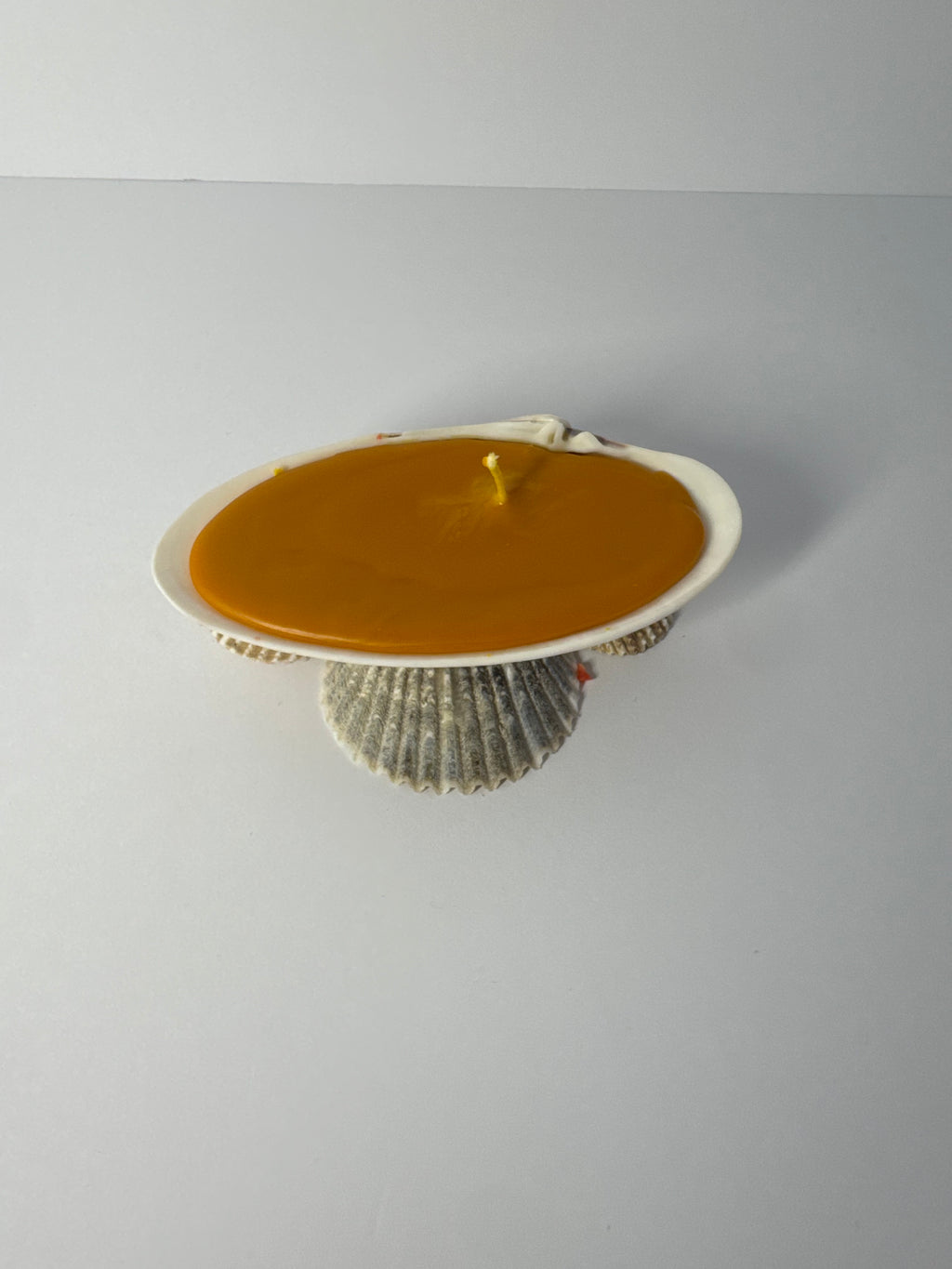 Shell Candle