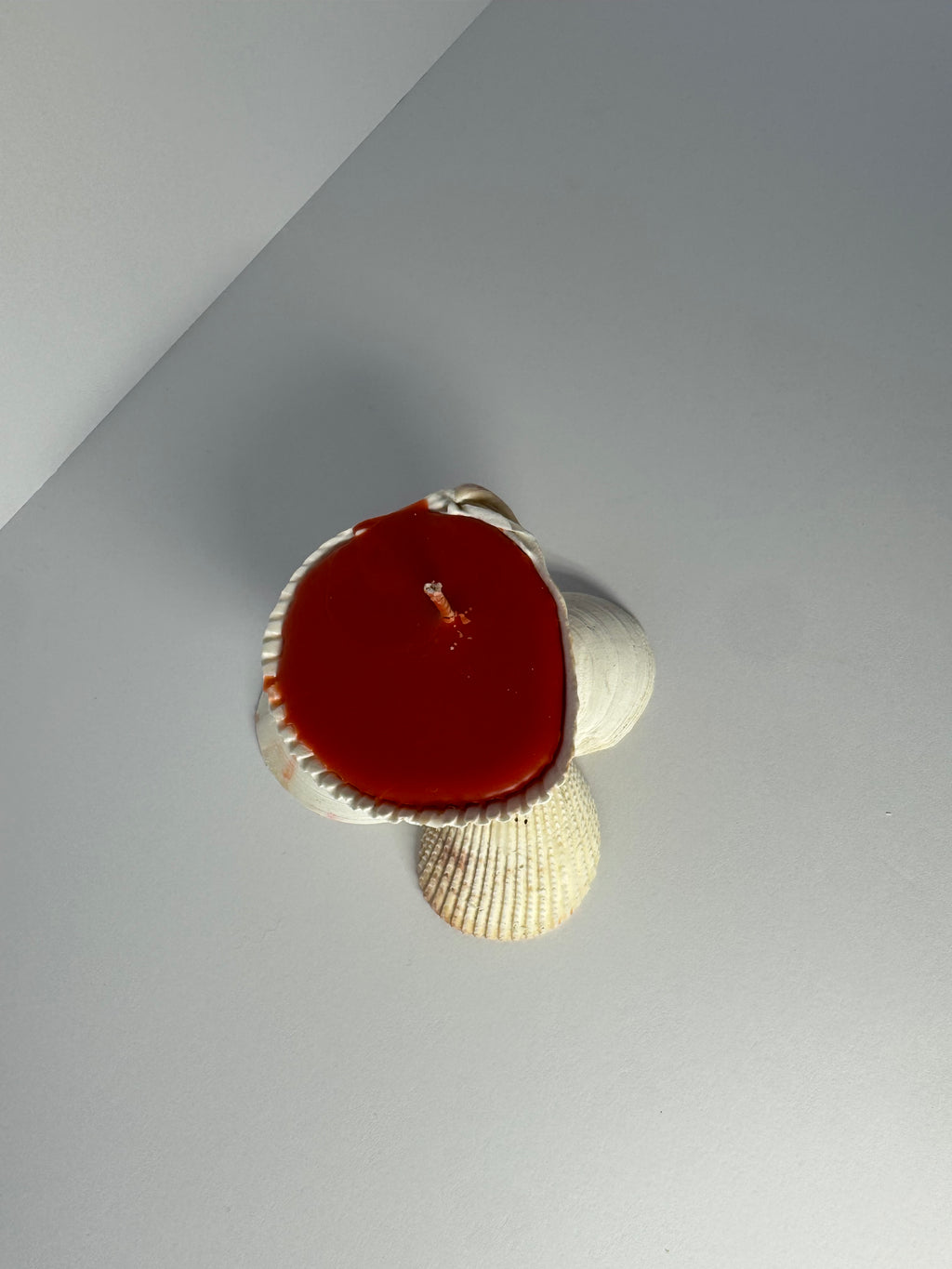 Shell Candle