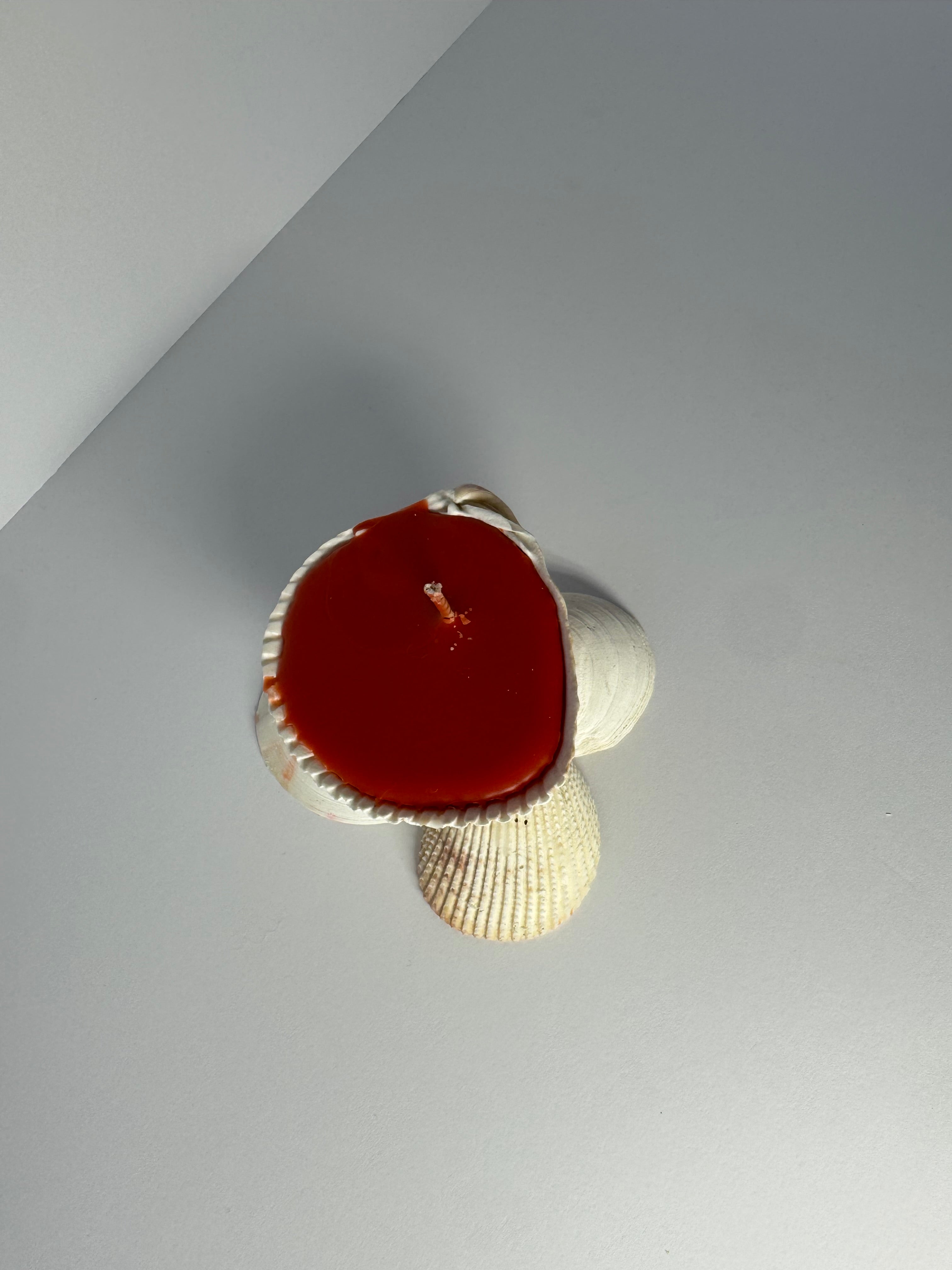 Shell Candle